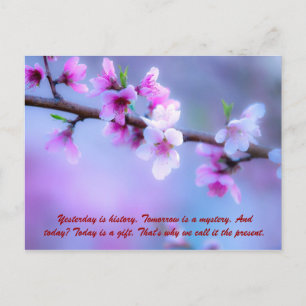 Yesterday is history. Tomorrow is a mystery. And t Postcard