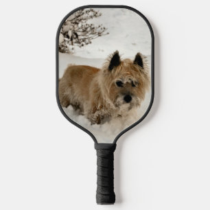 Yeti Pickleball Paddle