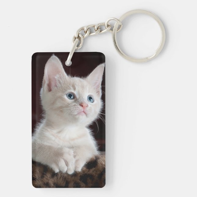 Yeux bleu chaton blanc (Dos)