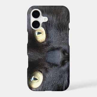 Yeux de chat
