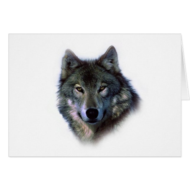 Yeux de loup gris (Devant horizontal)