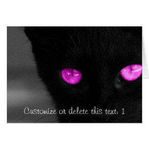 Yeux de pourpre de chat noir de BPUR