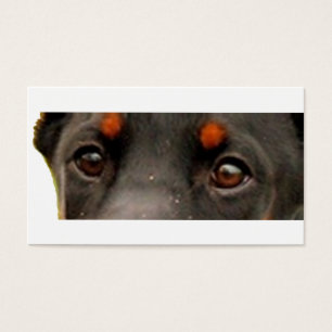 yeux dobie