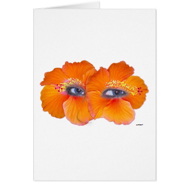 Yeux Hibiscus - Orange (Devant)