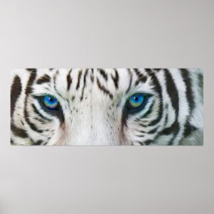 Yeux sauvages - affiche ou copie blanche d'art de