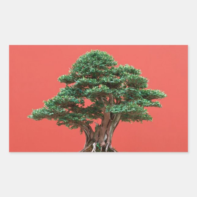 Yew bonsai sticker (Front)