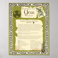 YEW CELTIC SACRED TREE