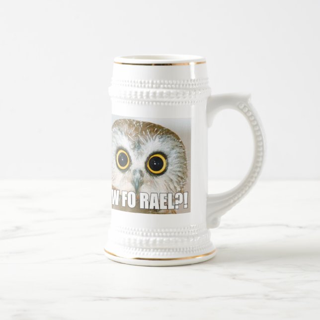 Yew Fo Rael?! Beer Stein (Right)