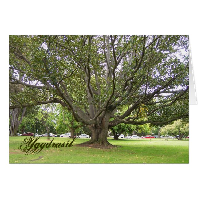 Yggdrasil (Front Horizontal)