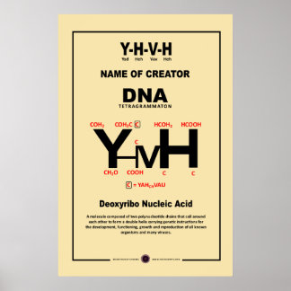 YHVH Chemical Compound Poster