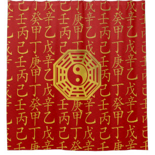 Yin and Yang , bagua and feng shui hieroglyphs