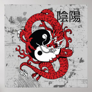 Yin yang Chinese symbol and dragon Poster