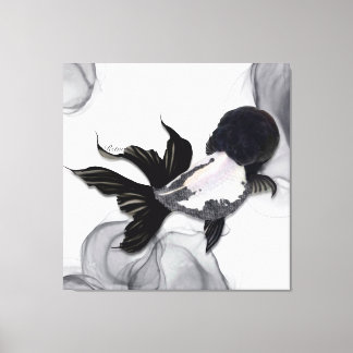 Yin Yang Ranchu Gold Fish Black White Canvas Print
