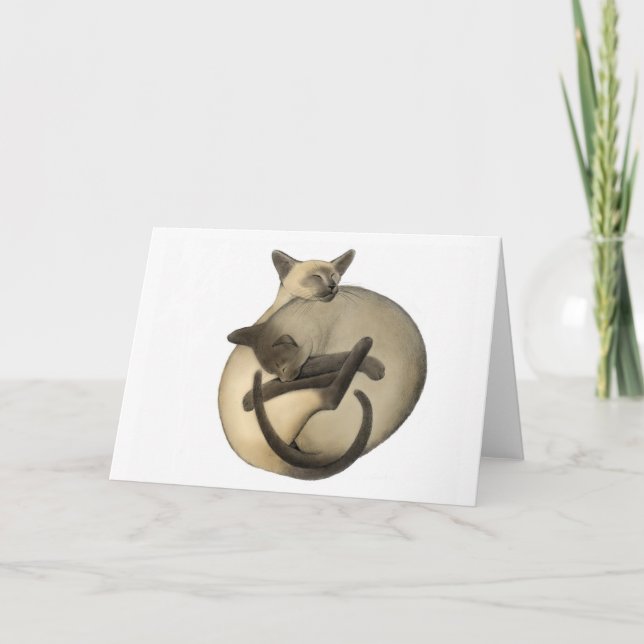 Yin Yang Siamese Cats Card (Front)