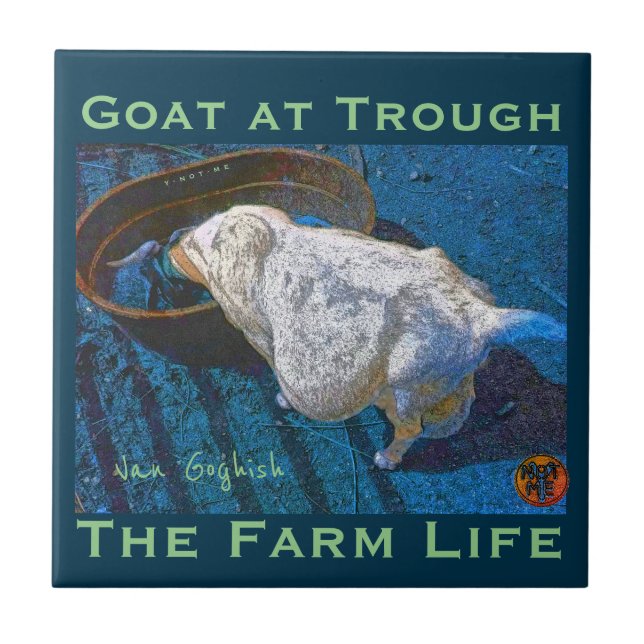 YNOTME VAN GOGHISH GOAT AT TROUGH2 TILE (Front)