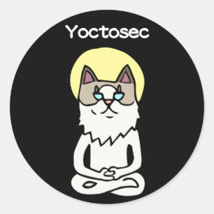 Yoctosec Enlightenment Cat Classic Round Sticker