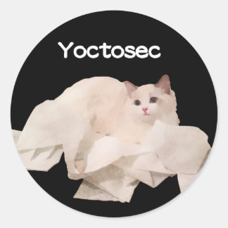 Yoctosec Enlightenment Cat Classic Round Sticker