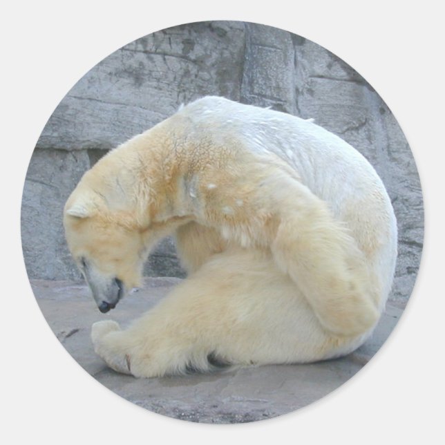 Yoga Bear Classic Round Sticker (Front)