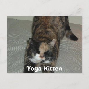 Yoga Calico Cat Postcard