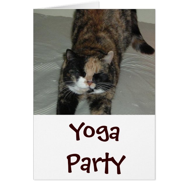 Yoga Cat (Front)