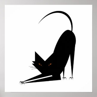 Yoga Cat Poster