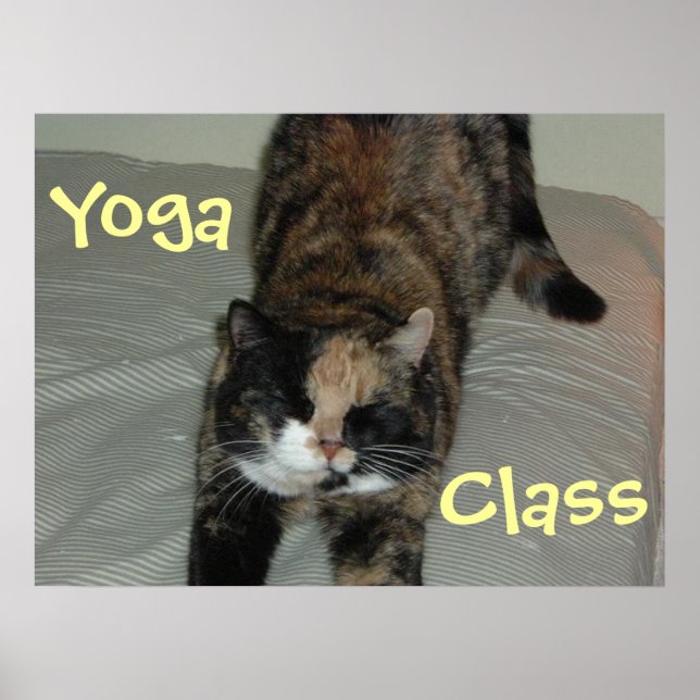 Yoga Cat Poster (Front)