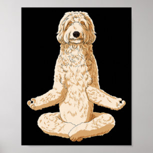Yoga Dog Labradoodle  Poster