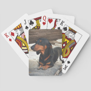 Yoga dog playing cards