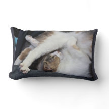 Yoga "I'm not as limber as I used to be..." Kilmer