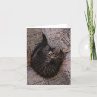 Yoga Kitten Greeting Card