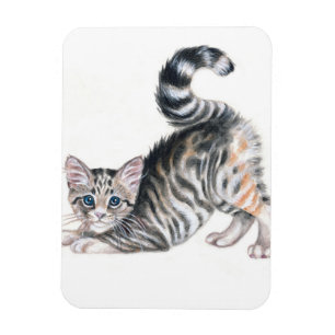 yoga kitten magnet