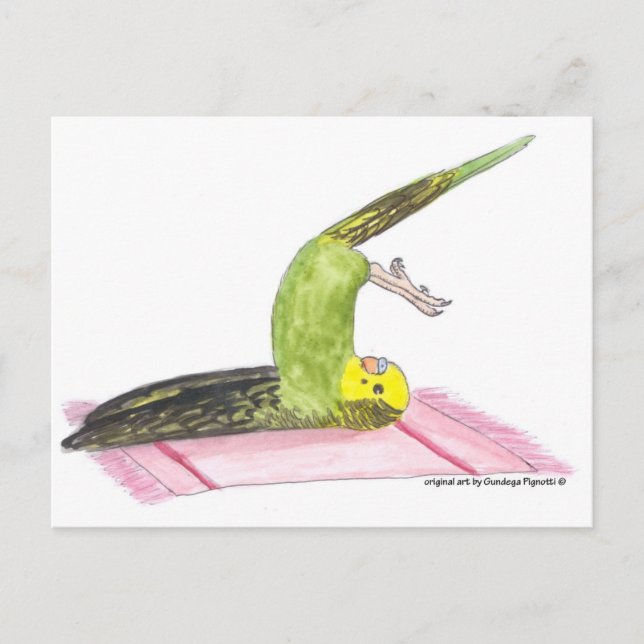 Yoga Parakeet Plow pose Postcard (Front)