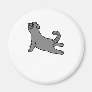 Yoga Pose Scottish Fold Cat Magnet