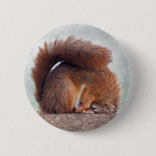 Yoga Squirrel Badge 2 Inch Round Button