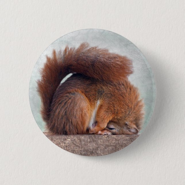 Yoga Squirrel Badge 2 Inch Round Button (Front)