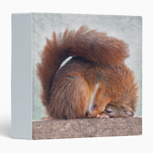 Yoga Squirrel Binder