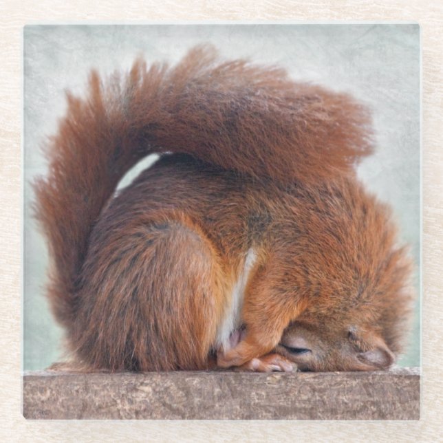 Yoga Squirrel Glass Coaster (Front)