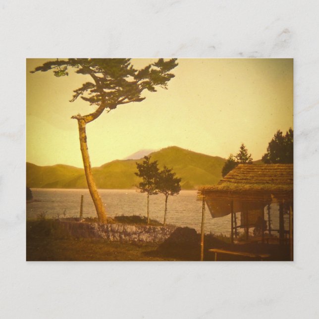 Yokohama Japan Park Vintage Mountains Postcard (Front)