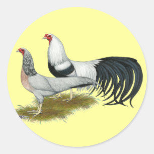 Yokohama:  Silver Duckwing Pair Classic Round Sticker