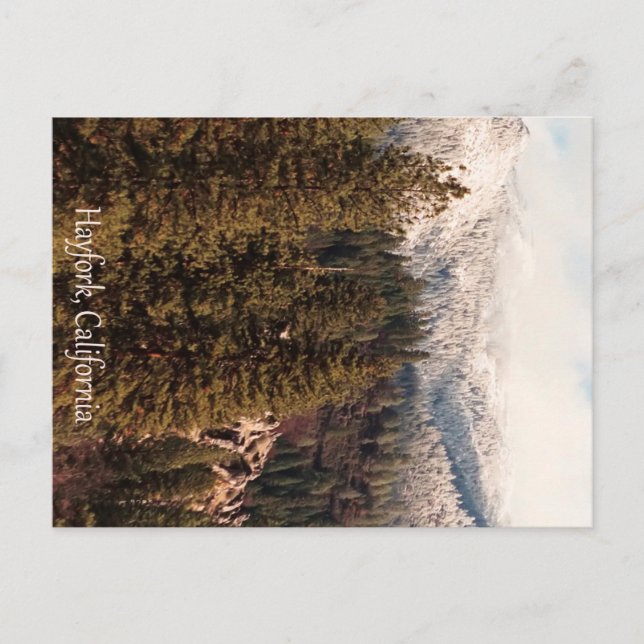 Yolla Bollies with fresh snow... Postcard (Front)