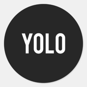Yolo - Cool New Hip Hop Rap Funny Gift Tee  Classic Round Sticker