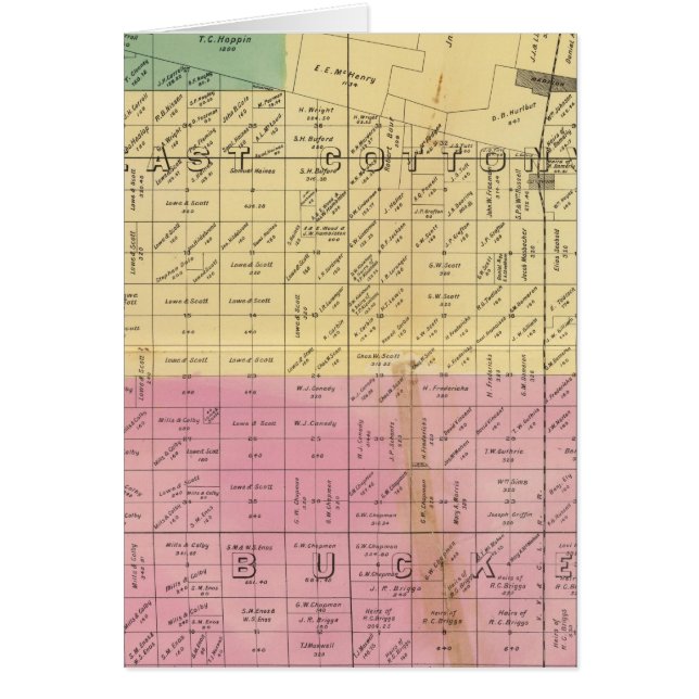 Yolo County 5 (Front)