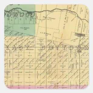 Yolo County 5 Square Sticker