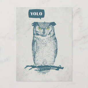 YOLO POSTCARD