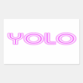 YOLO STICKER
