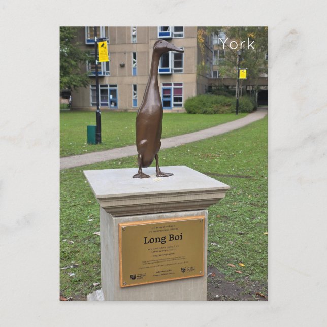 York Long Boi Postcard (Front)