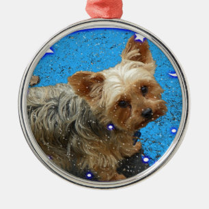 Yorki Christmas Ornament