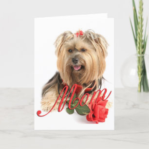 Yorkie and red rose (MOM) Card
