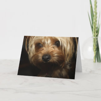 Yorkie Card