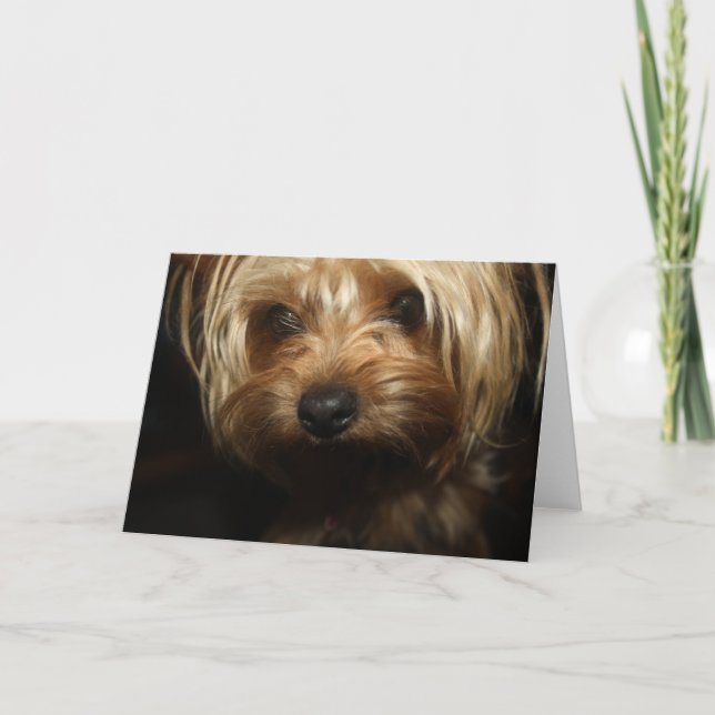 Yorkie Card (Front)